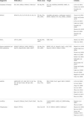 Epigenetic mechanisms involved in methamphetamine addiction